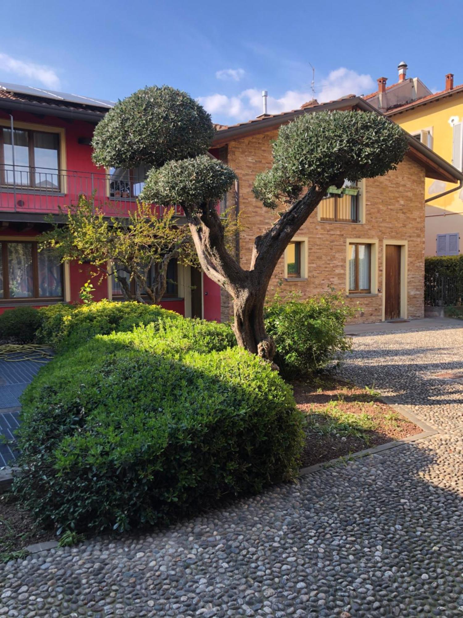 Bergamo Easy Airport Private Parking公寓 外观 照片